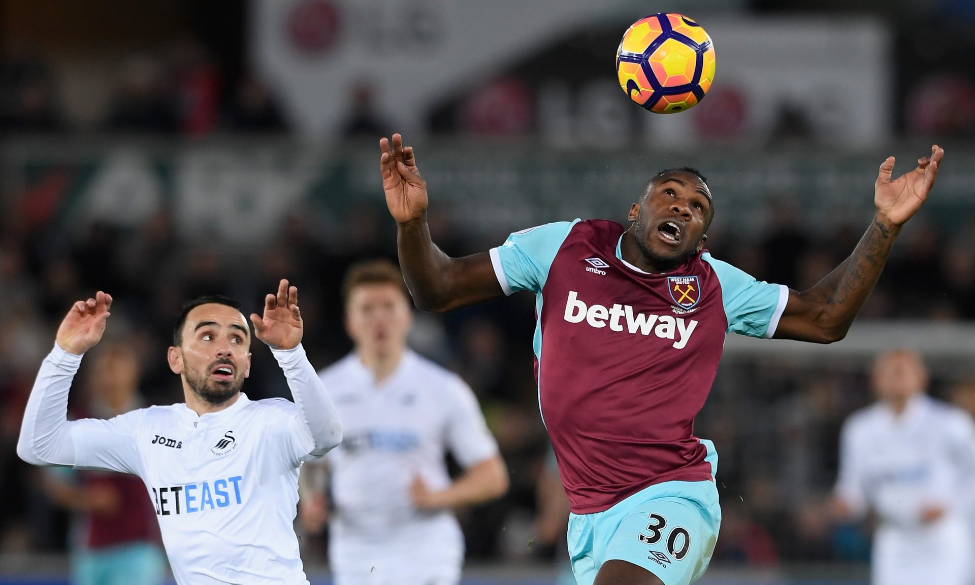 加以培养 加以培养