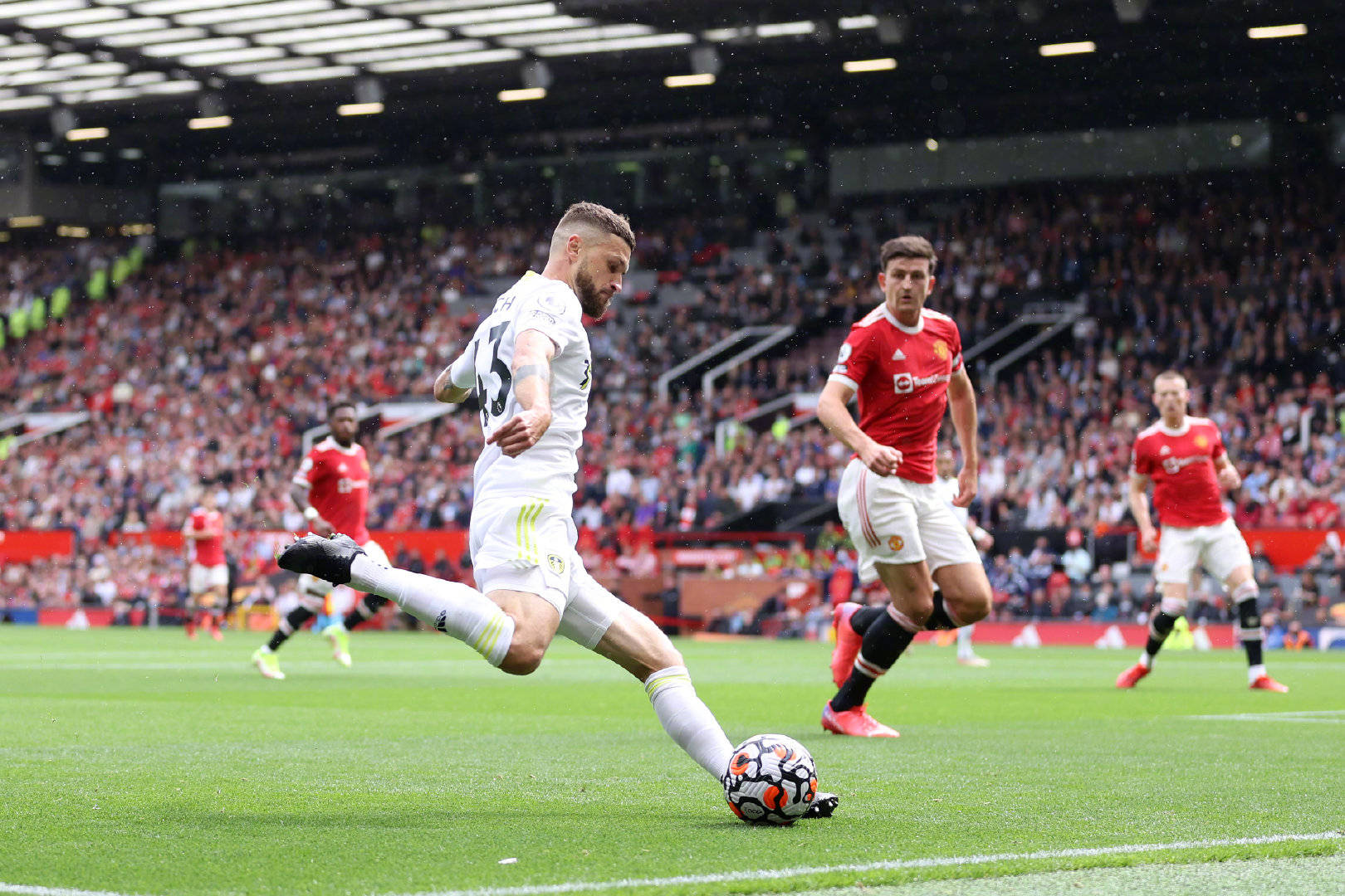 大胆启用了 大胆启用了